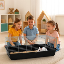 🐰 ZooPaul 🐰 Hasenkäfig