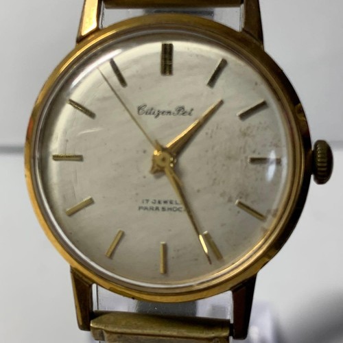 Citizen pet jewels - pet, 17