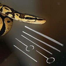 6 Stück Schlange Geschlecht