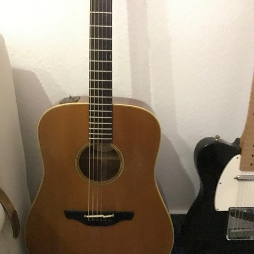 Takamine mit case - en-10,