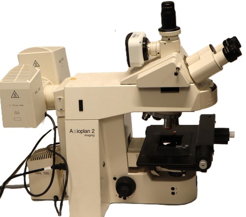 Carl zeiss axioplan imaging - zeiss,