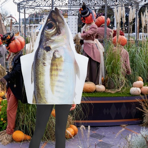 Cosplay fischkostüm für - fischkostüm,