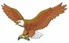 Aufnäher patch adler eagle - aufnäher,