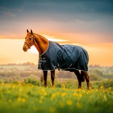 Horseware amigo ripstop 900d - ripstop,
