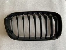 Ziergitter Niere schwarz