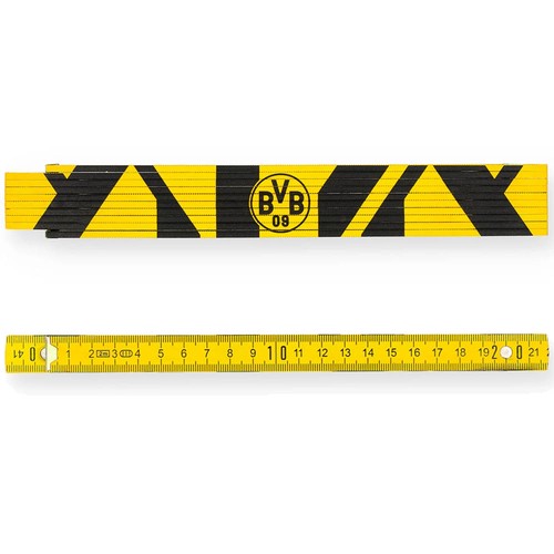 Bvb borussia dortmund - borussia,