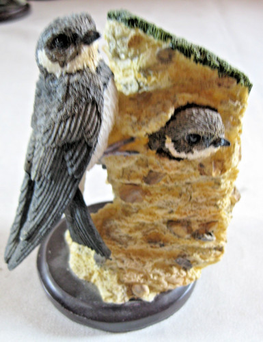 Uferschwalbe unsere schöne - uferschwalbe,