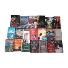 20 Historische Romane Bücher