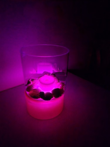 Windlicht glaszylinder ø20cm - glaszylinder,