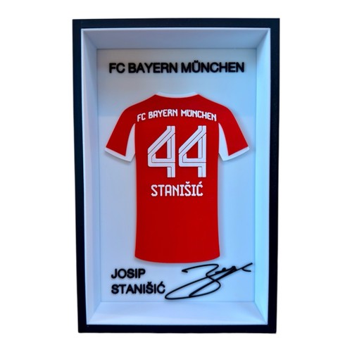 Josip stanisic bayern - fc,