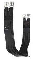 Harry Dabbs anatomischer