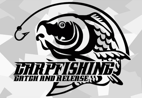 Baits karpfen boilies carp - karpfen,