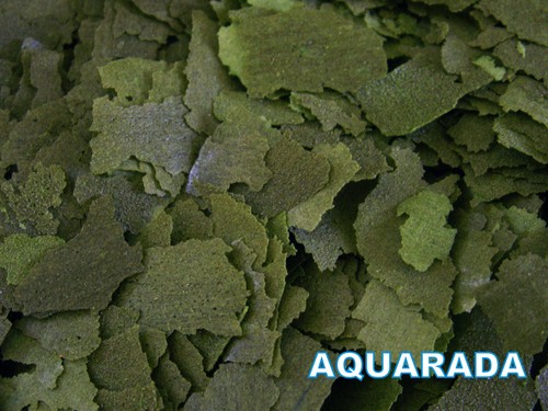 1250ml spirulina - 1250ml, 38%