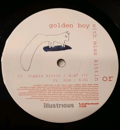 Golden boy with - miss, kittin