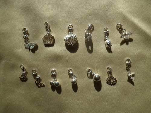 Charm charms 925 silber - in,