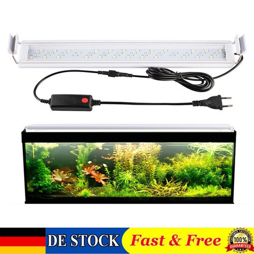 Rgb led aquarium - rgb,