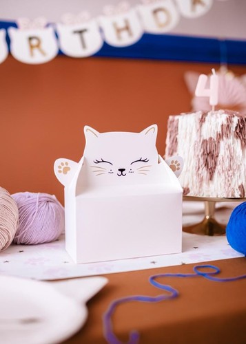 Katzenparty snackboxen 6 - snackboxen,