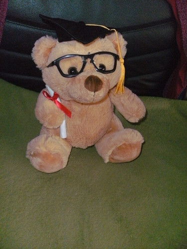 Teddybär examen abitur - teddybär, examen/abitur