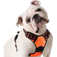 Hundegeschirr mittelgroß Anti