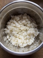 Echter Milchkefir   15g