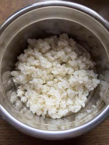 Echter milchkefir 15g - ,