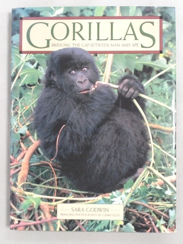 Gorillas bridging the gap - gorillas:,