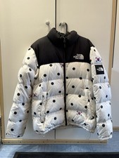 The North Face Winterjacke South Korea Gr. L Nuptse