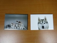 Lot magnets aimants 7 8 - aimants, 7,8
