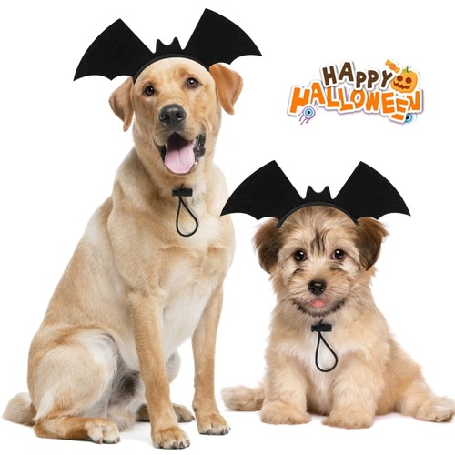 Hund halloween kostüm - hund,