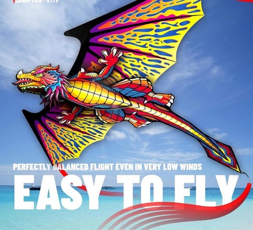 Dragon easy fly - easy, to