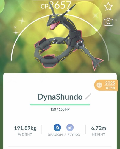 Pokémon shiny rayquaza - ✨pokémon,