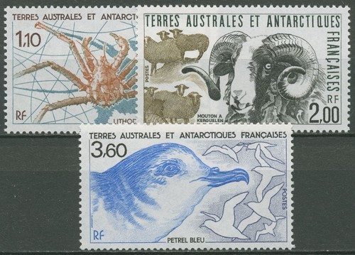Franz antarktis 1989 tiere - 1989,