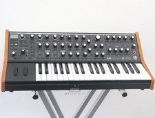 Moog Subsequent 37 - Analog