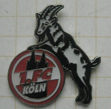 1.FC KÖLN / FUSSBALL BUNDESLIGA  .............................. Sport-Pin (185a)