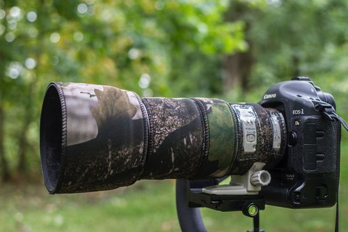 Canon 100 400 6 - 100-400, f4.5-5.6