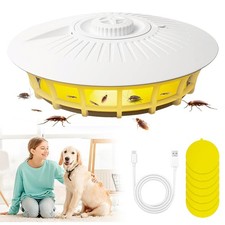 Flohhalle für Wohnung