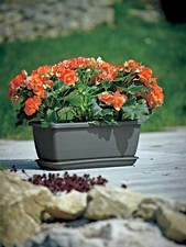 Blumenkasten mit Untersetzer 4