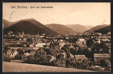 Bad Harzburg, Panoramablick vom Schützenhaus, Ansichtskarte 1909 