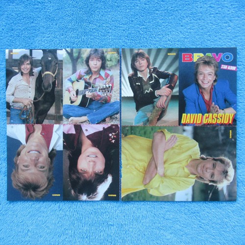 David cassidy star album bravo - star,