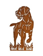 Figur Deutsch Drahthaar Höhe