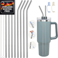 Edelstahl Trinkhalme Set 8