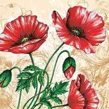 2 SERVIETTEN 33 X 33 /