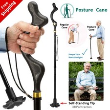 NEU Walking Stick faltbar