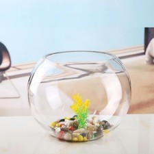 Große runde Glas-Fischschale