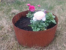 Edelrost Baumring Hochbeet