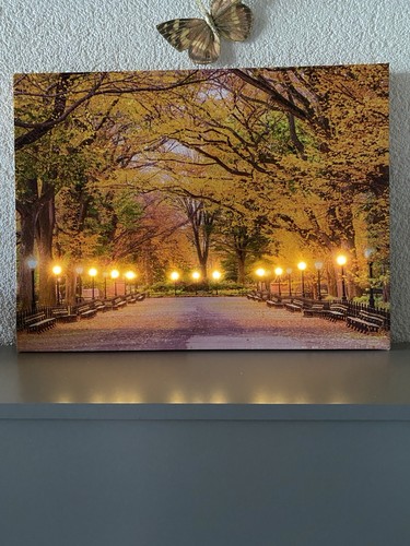 Led wandbild herbstweg - led, 40