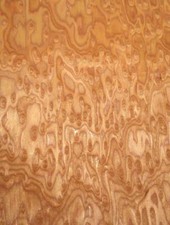 Vogelaugen Kirsche SaRaiFo Kirschbaum Furnier 250x32cm