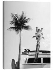 Leinwandbild Giraffe im Surfer