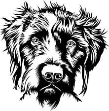 Autoaufkleber / Sticker /