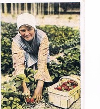 Auf Deutscher Scholle Nr. 59